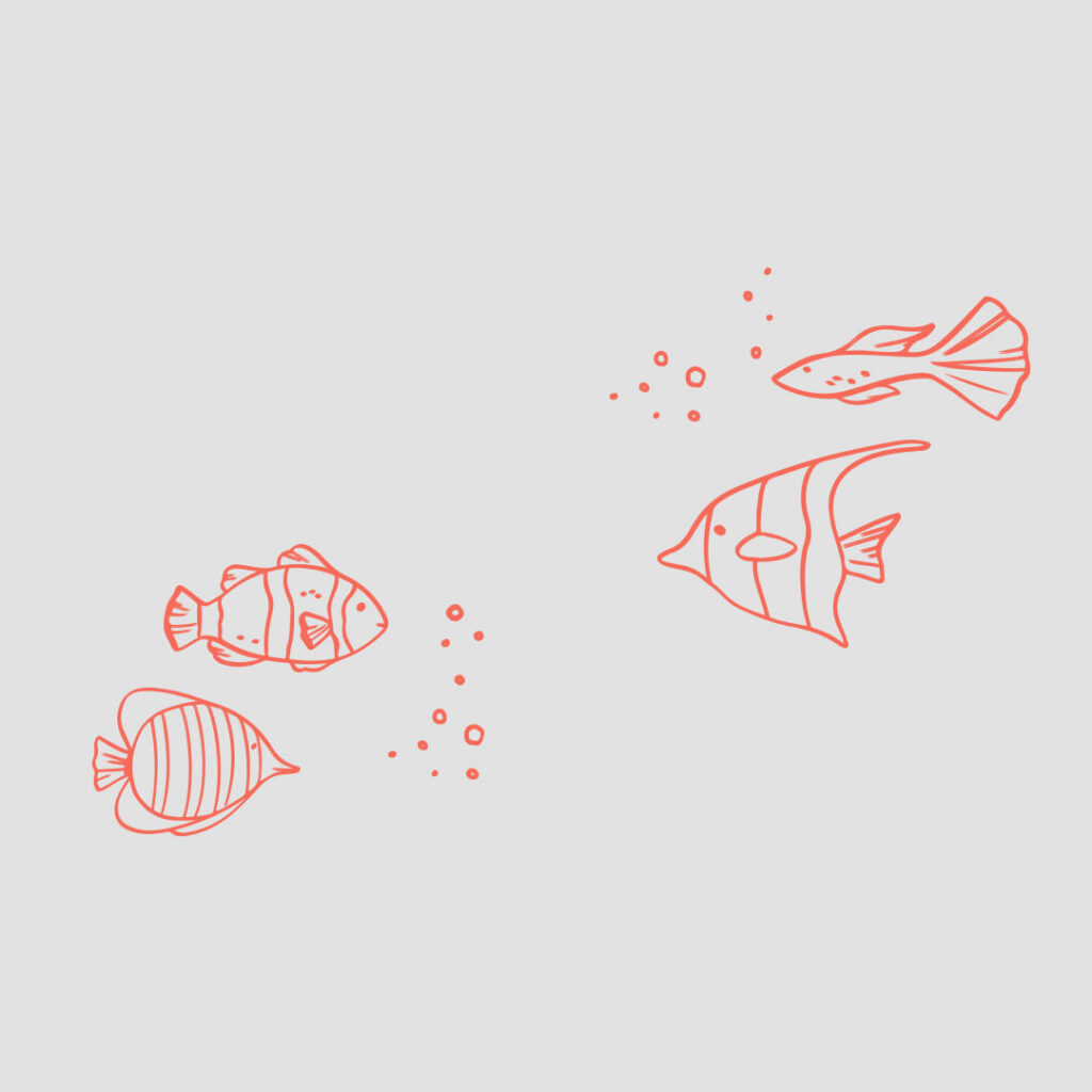 Кейс: привлекли более 10 000 подписчиков по 0,3$ для интернет-магазина морепродуктов | BotHelp