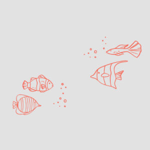 Кейс: привлекли более 10 000 подписчиков по 0,3$ для интернет-магазина морепродуктов | BotHelp