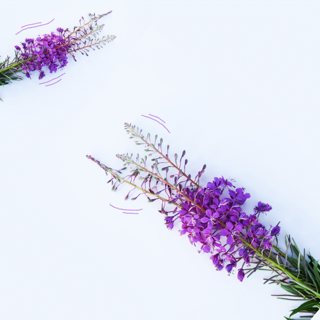 Июльские обновления BotHelp 2023: копирование блоков и интеграция с GetCourse