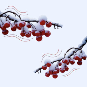 Ноябрьские обновления BotHelp 2023: голосовые сообщения и новые поля