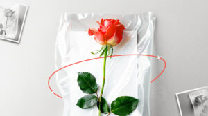 Обновления марта