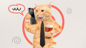 Схема автоворонки и чат-ботов для коучей, наставников и онлайн-экспертов