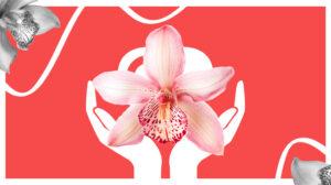 Как женская клиника «Орхидея» автоматизировала записи и увеличила поток пациентов