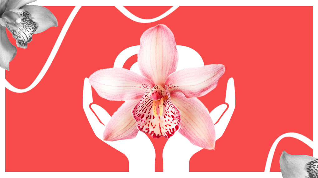 Как женская клиника «Орхидея» автоматизировала записи и увеличила поток пациентов