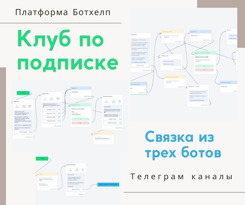 Кейс «Как я 8 ботов собирала», изображение №1
